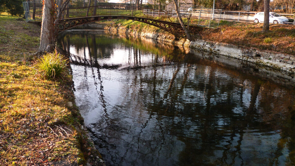 découvrez cabirol, une plateforme innovante dédiée aux passionnés de la nature et des activités en plein air. explorez des conseils, des astuces et des produits pour profiter pleinement de vos aventures en extérieur.