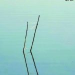 participez au concours photo 'phot’eau tarn' et capturez les paysages du tarn à travers votre objectif ! mettez en valeur la beauté des eaux, la nature environnante et laissez libre cours à votre créativité. un événement ouvert à tous les passionnés de photographie !