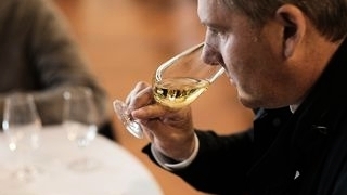 participez au concours des vins de l'hérault, une célébration des meilleurs crus de cette région viticole. découvrez des saveurs uniques, rencontrez des vignerons passionnés et savourez des dégustations inoubliables. rejoignez-nous pour célébrer l'excellence viticole de l'hérault !