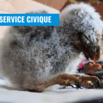 découvrez les merveilles du tarn en avril 2025 : paysages enchanteurs, patrimoines historiques et événements locaux. ne manquez pas cette occasion de vivre des expériences uniques dans cette région authentique.