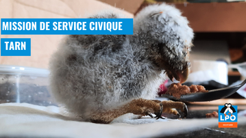 découvrez les merveilles du tarn en avril 2025 : paysages enchanteurs, patrimoines historiques et événements locaux. ne manquez pas cette occasion de vivre des expériences uniques dans cette région authentique.