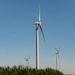 découvrez l'harmonie entre les éoliennes et les faucons dans l'hérault. explorez la cohabitation des énergies renouvelables et de la faune locale, et apprenez comment ces majestueux oiseaux s'adaptent à leur environnement face à la transition énergétique.