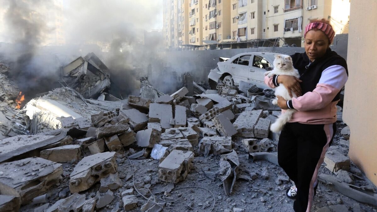 découvrez comment gérer l'anxiété de votre chien face aux bruits d'explosion. conseils et astuces pour apaiser votre compagnon à quatre pattes durant les moments d'inquiétude.