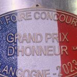 découvrez la foire concours de langogne 2023, un événement incontournable réunissant artisans, exposants et animations variées. profitez d'une ambiance festive et animée tout en soutenant le savoir-faire local. ne manquez pas cette occasion unique de vivre des moments inoubliables en famille ou entre amis !