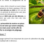 découvrez les comportements des frelons asiatiques actifs et apprenez à les identifier. informez-vous sur leurs habitudes, leurs impacts sur l'environnement et les précautions à prendre pour protéger votre espace extérieur.