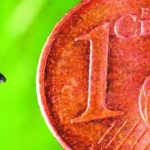 découvrez nos solutions efficaces pour la lutte contre les moustiques dans l'hérault. protégez votre environnement et améliorez votre qualité de vie grâce à nos méthodes respectueuses de l'écosystème.