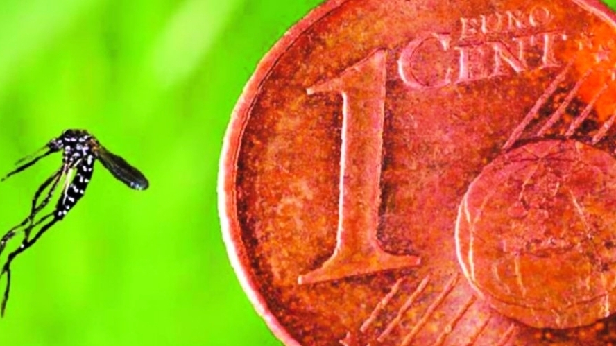 découvrez nos solutions efficaces pour la lutte contre les moustiques dans l'hérault. protégez votre environnement et améliorez votre qualité de vie grâce à nos méthodes respectueuses de l'écosystème.