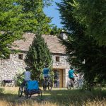 découvrez le mas de la barque rénové, un havre de paix alliant charme traditionnel et confort moderne. profitez d'un séjour unique au cœur de la nature, avec des équipements de qualité et une ambiance chaleureuse.
