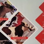 découvrez l'élection de miss lozère 2025, un événement incontournable célébrant la beauté et le charme des candidates locales. rejoignez-nous pour soutenir ces jeunes femmes talentueuses et vivre une soirée riche en émotions et en surprises !