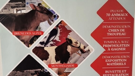 découvrez l'élection de miss lozère 2025, un événement incontournable célébrant la beauté et le charme des candidates locales. rejoignez-nous pour soutenir ces jeunes femmes talentueuses et vivre une soirée riche en émotions et en surprises !