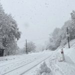 découvrez la beauté enchanteuse de la neige en lozère, où paysages immaculés et activités hivernales vous attendent. plongez dans un décor féérique, entre randonnées, sports de glisse et moments de convivialité au cœur de la nature.
