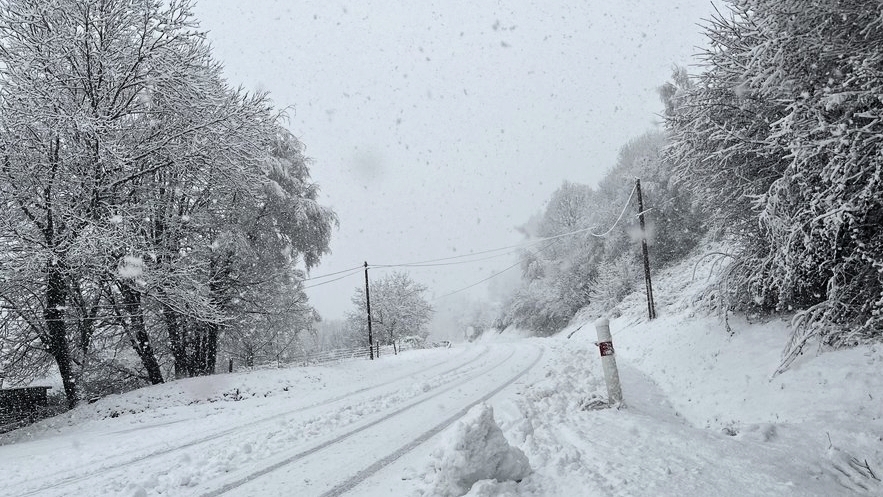 découvrez la beauté enchanteuse de la neige en lozère, où paysages immaculés et activités hivernales vous attendent. plongez dans un décor féérique, entre randonnées, sports de glisse et moments de convivialité au cœur de la nature.