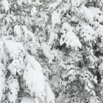 découvrez la magie d'un pâques enneigé en lozère, où paysages féeriques et traditions printanières se rencontrent. profitez d'activités en plein air, de délices locaux et d'une atmosphère chaleureuse au cœur des montagnes.