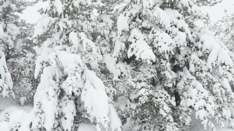 découvrez la magie d'un pâques enneigé en lozère, où paysages féeriques et traditions printanières se rencontrent. profitez d'activités en plein air, de délices locaux et d'une atmosphère chaleureuse au cœur des montagnes.