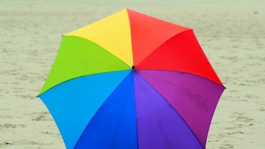 découvrez les charmes du printemps pluvieux : une saison où la nature s'éveille, les fleurs fleurissent et les douces averses apportent fraîcheur et renouveau. plongez dans l'atmosphère apaisante de cette période qui nourrit la terre et émerveille les sens.