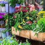 découvrez les délices des produits locaux au printemps dans le tarn. des fruits et légumes de saison, des spécialités artisanales et un savoir-faire unique vous attendent pour égayer vos papilles et soutenir l'agriculture locale. explorez les saveurs authentiques de notre région et vivez une expérience gourmande inoubliable.