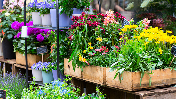 découvrez les délices des produits locaux au printemps dans le tarn. des fruits et légumes de saison, des spécialités artisanales et un savoir-faire unique vous attendent pour égayer vos papilles et soutenir l'agriculture locale. explorez les saveurs authentiques de notre région et vivez une expérience gourmande inoubliable.