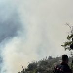 découvrez les dernières actualités concernant la suspension de la cci en région, l'incendie sur l'a9 et la visite du ministre en lozère. restez informé des enjeux locaux et des décisions gouvernementales impactant notre territoire.