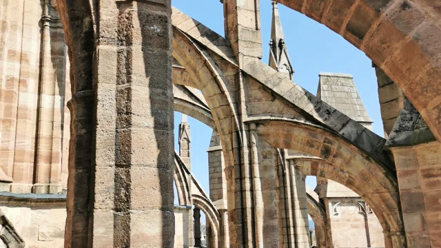 découvrez la restauration du clocher de la cathédrale de rodez, un projet exceptionnel visant à préserver ce monument historique. plongez dans l'histoire, les techniques de rénovation et les enjeux architecturaux de cette œuvre emblématique du patrimoine culturel français.