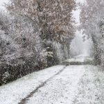 découvrez le retour tant attendu de la neige ! plongez dans un hiver enchanteur, avec des paysages immaculés et des activités hivernales incontournables. préparez-vous à profiter de la magie des flocons et à vivre des moments inoubliables sous la neige.