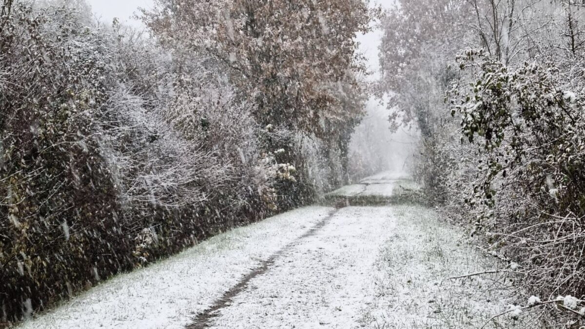 découvrez le retour tant attendu de la neige ! plongez dans un hiver enchanteur, avec des paysages immaculés et des activités hivernales incontournables. préparez-vous à profiter de la magie des flocons et à vivre des moments inoubliables sous la neige.