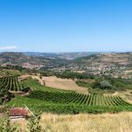 ne manquez pas le retour tant attendu du groupe gold à rodez ! revivez les plus grands succès et une ambiance inoubliable lors de ce concert exceptionnel. réservez vos places dès maintenant !