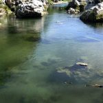 découvrez la saison de pêche dans le tarn : des rivières pittoresques, une biodiversité riche et des moments inoubliables en pleine nature. préparez-vous à vivre des expériences mémorables entre passionnés de pêche.