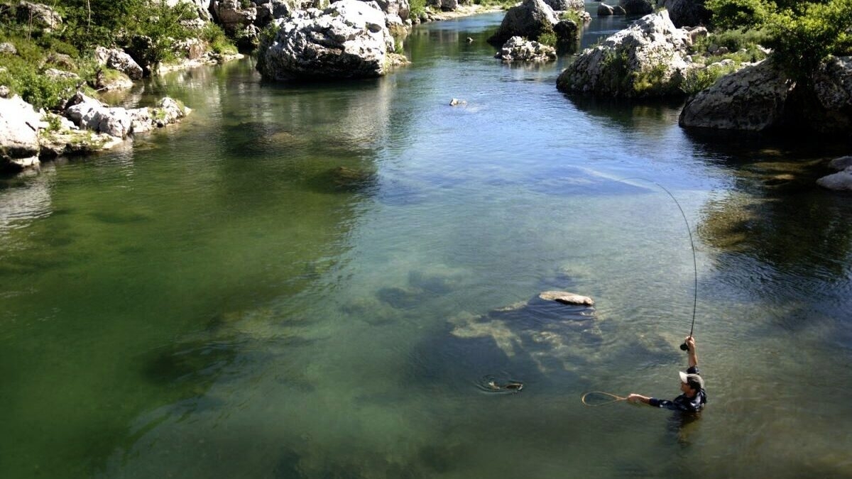 découvrez la saison de pêche dans le tarn : des rivières pittoresques, une biodiversité riche et des moments inoubliables en pleine nature. préparez-vous à vivre des expériences mémorables entre passionnés de pêche.