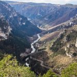 découvrez les bienfaits du soja dans les cantines du tarn. offrez à vos enfants une alimentation saine et équilibrée avec des plats savoureux à base de soja, riche en protéines et en nutriments. engagez-vous pour une cuisine scolaire écoresponsable et gourmande !