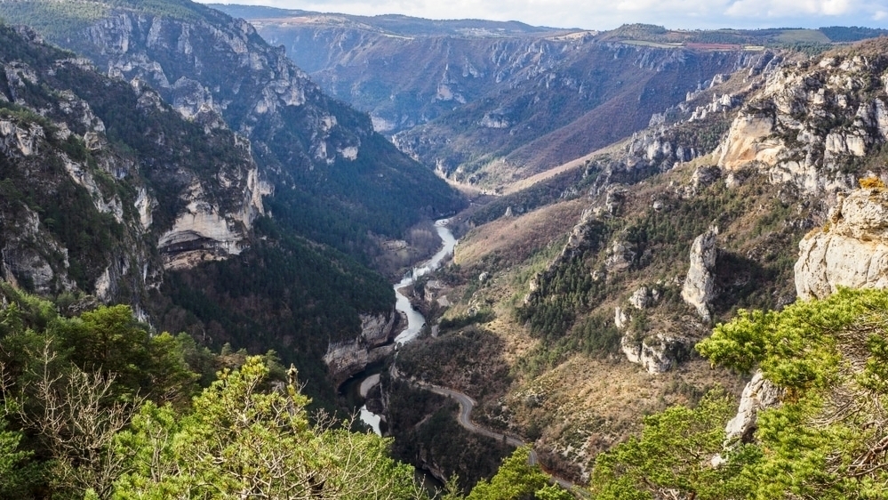 découvrez les bienfaits du soja dans les cantines du tarn. offrez à vos enfants une alimentation saine et équilibrée avec des plats savoureux à base de soja, riche en protéines et en nutriments. engagez-vous pour une cuisine scolaire écoresponsable et gourmande !