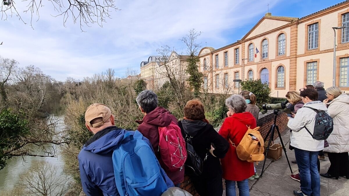 découvrez les meilleures sorties dans le tarn : activités, visites culturelles et lieux incontournables pour profiter pleinement de ce magnifique département. que vous soyez amateur de nature, d'histoire ou de gastronomie, le tarn a de quoi ravir vos envies d'évasion.