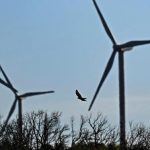 découvrez la suspension du parc éolien dans l'hérault, un projet qui allie développement durable et préoccupations environnementales. informez-vous sur les enjeux, les impacts et les perspectives de ce parc éolien prometteur.