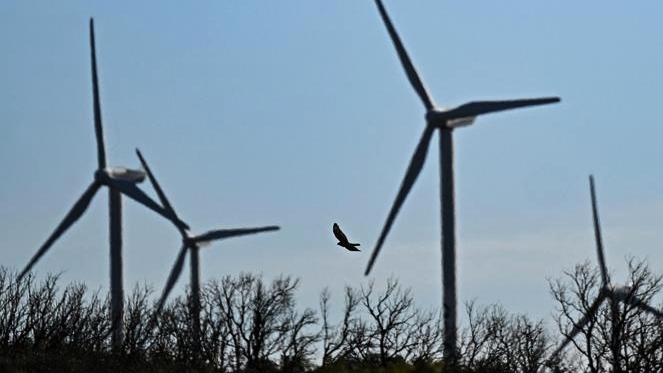 découvrez la suspension du parc éolien dans l'hérault, un projet qui allie développement durable et préoccupations environnementales. informez-vous sur les enjeux, les impacts et les perspectives de ce parc éolien prometteur.