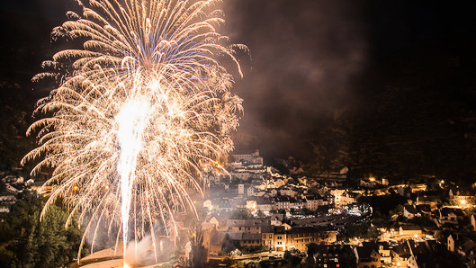 découvrez l'essor captivant du tarn à sainte-enimie, un lieu enchanteur où la nature s'épanouit. explorez les paysages pittoresques, profitez d'activités de plein air et laissez-vous séduire par l'authenticité de cette région magnifique en plein développement.