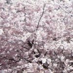 découvrez les températures printanières en aveyron, une période de douceur où la nature s'éveille. informez-vous sur les conditions climatiques idéales pour profiter des paysages enchanteurs et des activités en plein air.