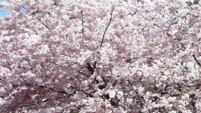 découvrez les températures printanières en aveyron, une période de douceur où la nature s'éveille. informez-vous sur les conditions climatiques idéales pour profiter des paysages enchanteurs et des activités en plein air.