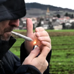 découvrez l'univers complexe du trafic de cannabis, ses enjeux, ses conséquences et les profils des trafiquants. plongez dans un sujet qui met en lumière les dangers et la réalité de ce marché illicite.