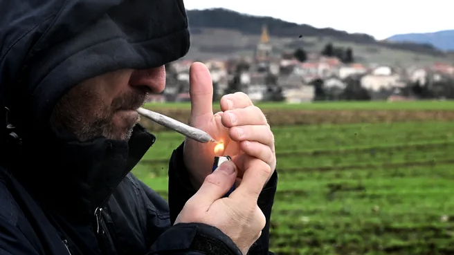 découvrez l'univers complexe du trafic de cannabis, ses enjeux, ses conséquences et les profils des trafiquants. plongez dans un sujet qui met en lumière les dangers et la réalité de ce marché illicite.