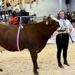 découvrez la vache miss laitière lozère 2025, un événement incontournable mettant en avant les meilleures races laitières de la région. assistez à des compétitions, des animations et des rencontres avec des éleveurs passionnés. ne manquez pas cette célébration de l'agriculture et du savoir-faire local !