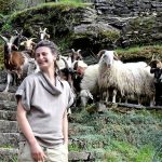 découvrez la vie authentique en lozère, un département aux paysages époustouflants et à la richesse culturelle. vivez des moments inoubliables entre nature préservée et traditions locales, pour une évasion inégalée.