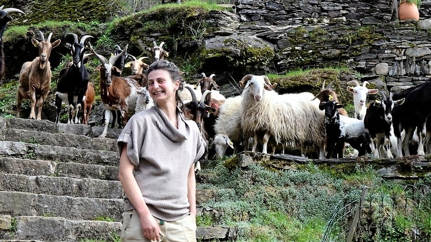 découvrez la vie authentique en lozère, un département aux paysages époustouflants et à la richesse culturelle. vivez des moments inoubliables entre nature préservée et traditions locales, pour une évasion inégalée.