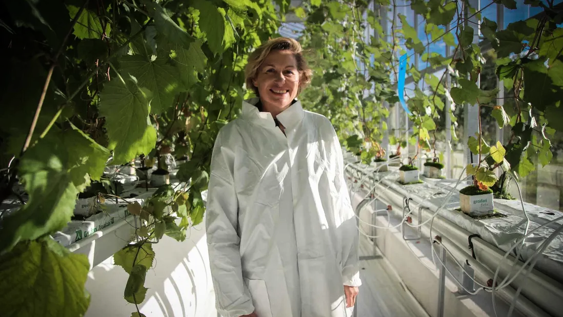 découvrez les moments forts de la visite du ministre de la ruralité en lozère, une initiative dédiée au développement et au soutien des territoires ruraux. plongez dans les enjeux locaux et les projets innovants qui façonneront l'avenir de cette région.