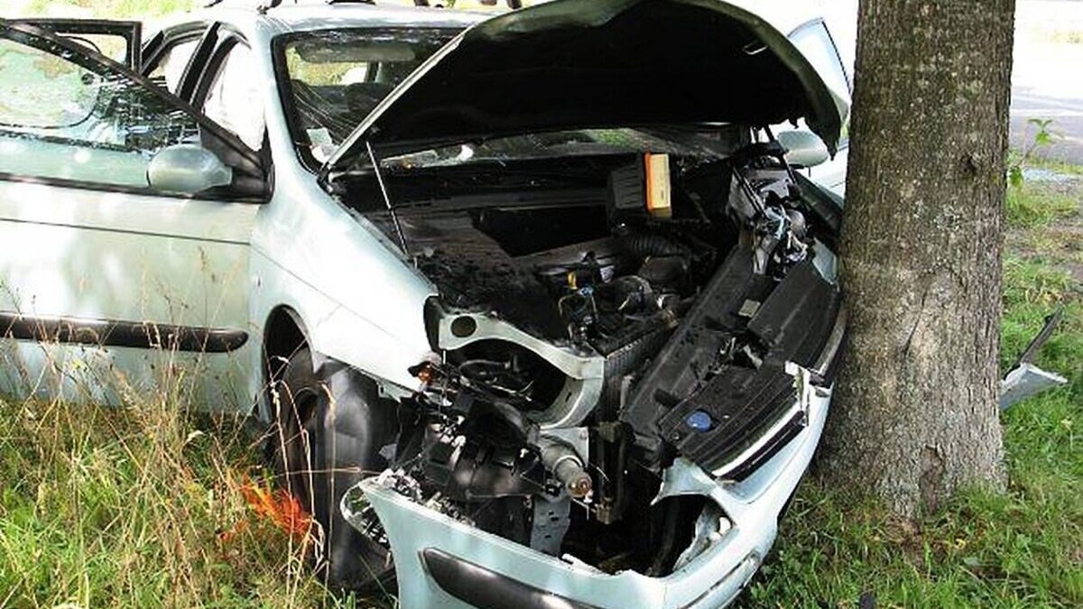 découvrez les conséquences choquantes d'un accident impliquant une voiture et un arbre. analyse des causes, des impacts sur la sécurité routière et des témoignages poignants.