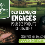 découvrez la gastronomie de l’aveyron à travers un reportage exclusif sur m6 : spécialités locales, chefs passionnés et produits du terroir sont à l’honneur dans cette émission gourmande.