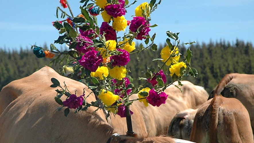 participez à la lutte contre le cancer en lozère ! découvrez les actions, événements et initiatives locales pour soutenir les malades et promouvoir la prévention. ensemble, chassons le cancer de notre département.