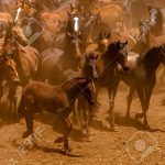 découvrez l’histoire émouvante de chevaux sauvages en détresse et les défis auxquels ils font face dans leur habitat naturel. protégeons ensemble ces animaux majestueux !