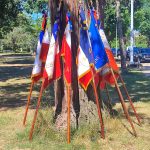 découvrez tous les événements à ne pas manquer dans le tarn du 9 au 14 septembre 2025 : concerts, festivals, expositions et activités pour toute la famille. planifiez votre séjour avec notre agenda !