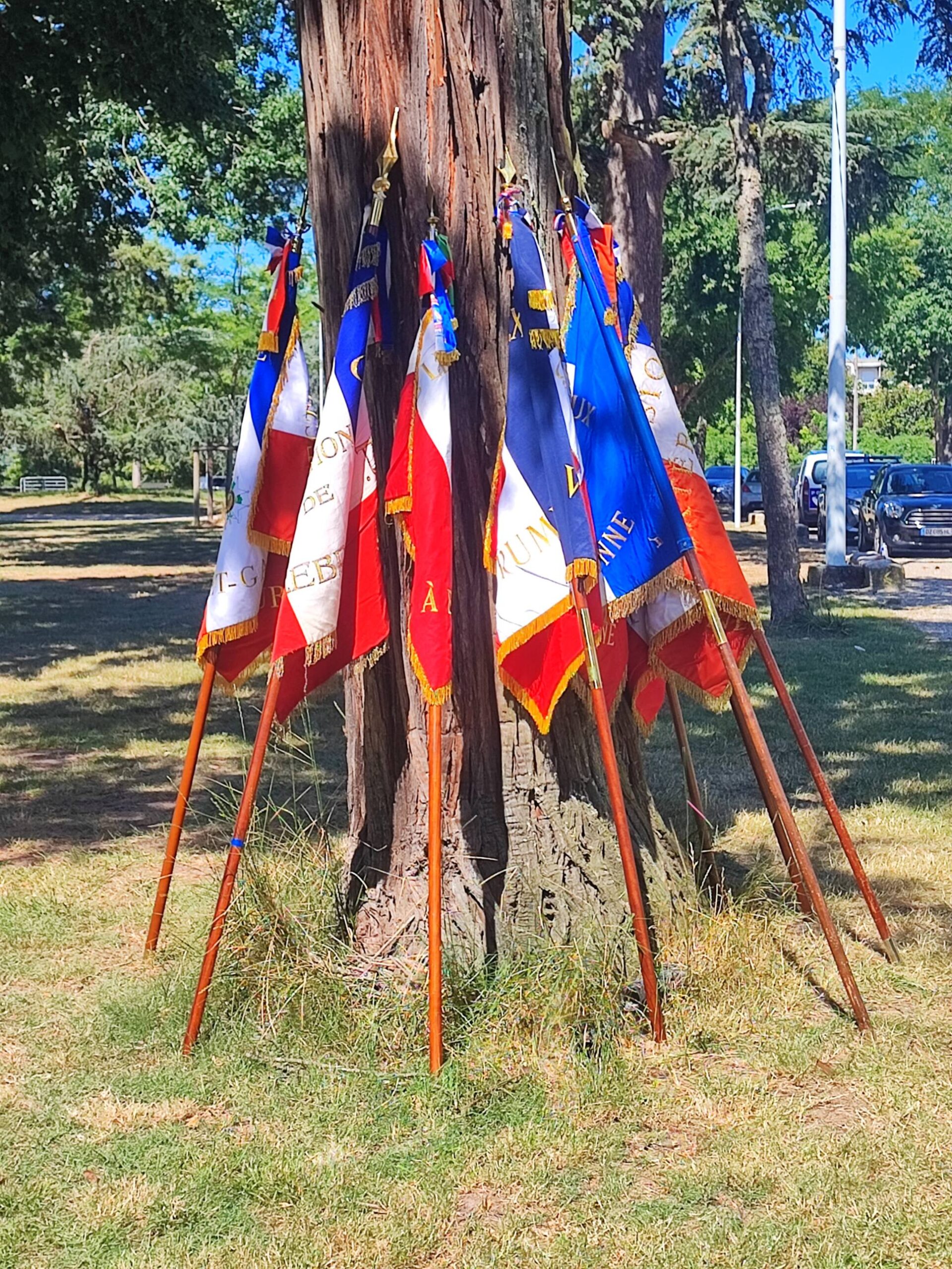 découvrez tous les événements à ne pas manquer dans le tarn du 9 au 14 septembre 2025 : concerts, festivals, expositions et activités pour toute la famille. planifiez votre séjour avec notre agenda !