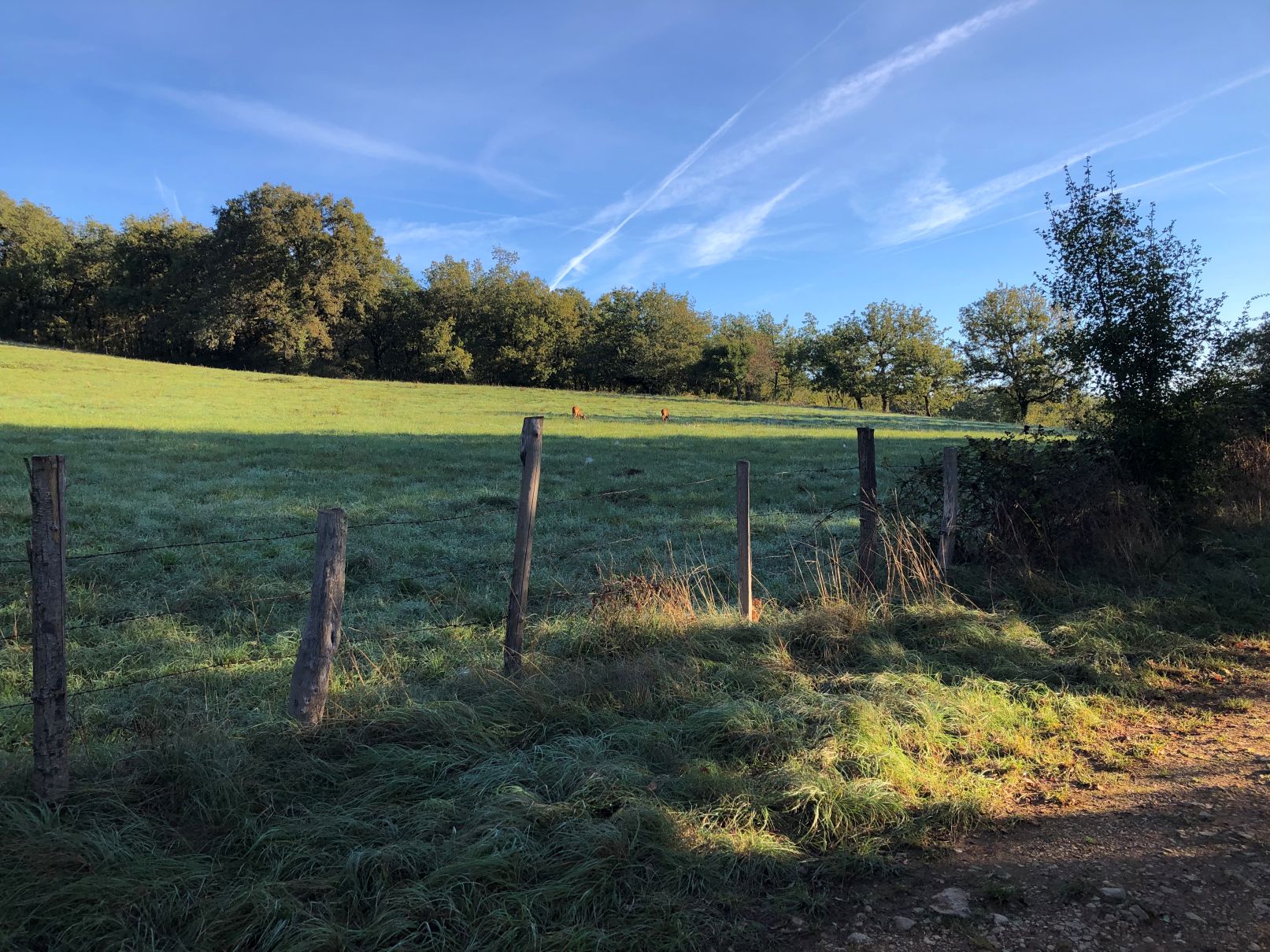 découvrez la fraîcheur de l'aveyron : paysages verdoyants, produits du terroir et activités nature pour un séjour authentique au cœur du sud-ouest.