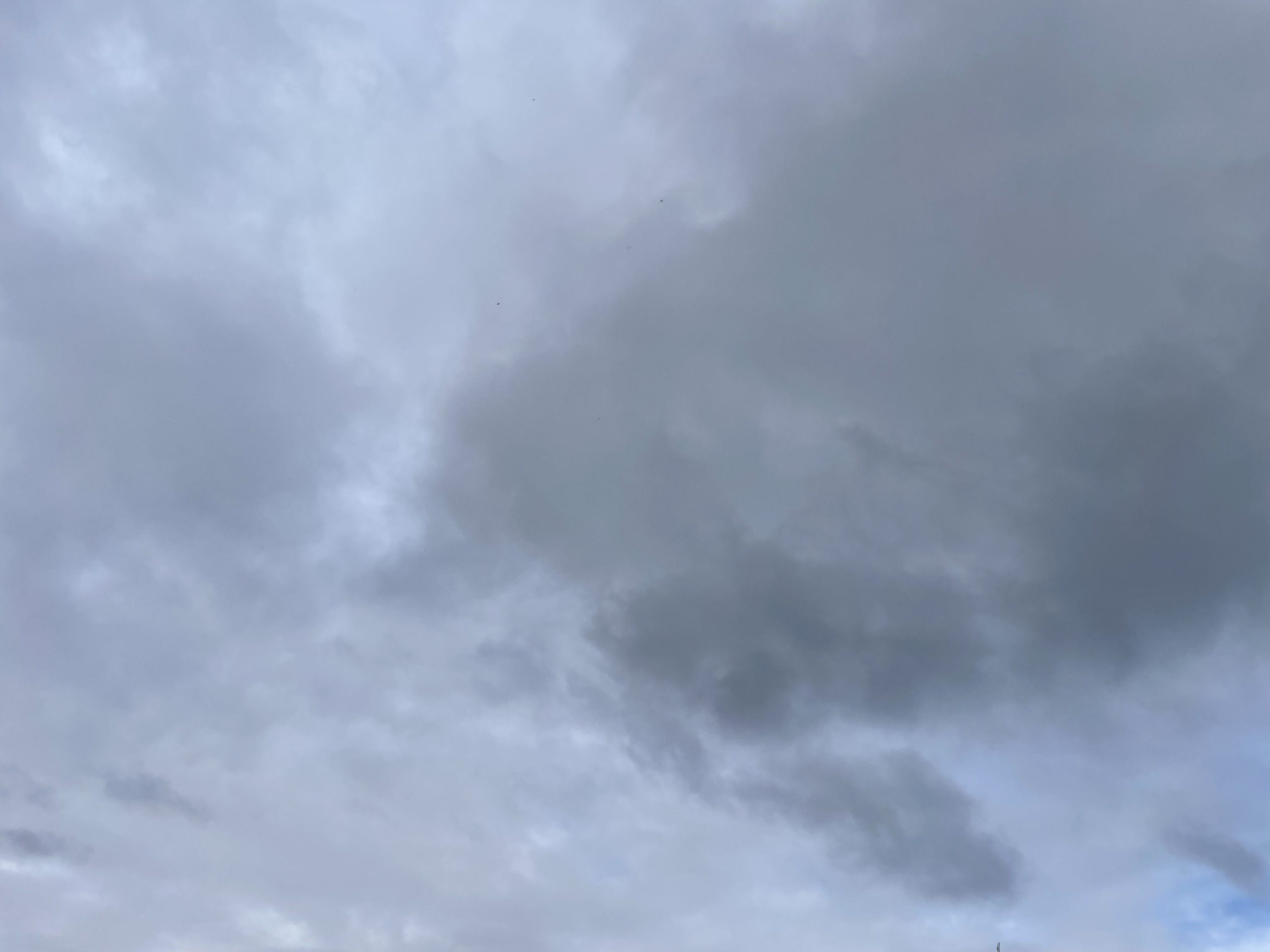 découvrez les prévisions météo détaillées pour l'hérault en automne et en hiver : températures, pluie, neige et conseils pour bien se préparer à la saison.